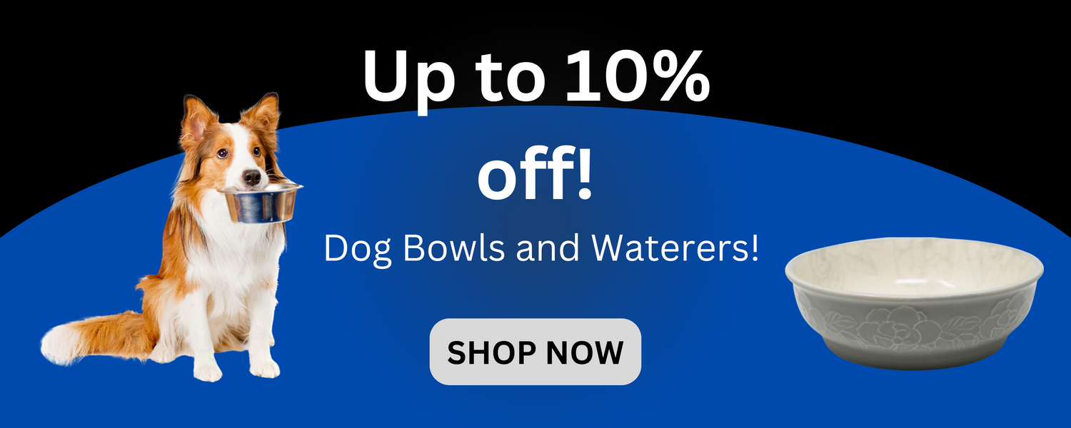 10% off Dog Bowls