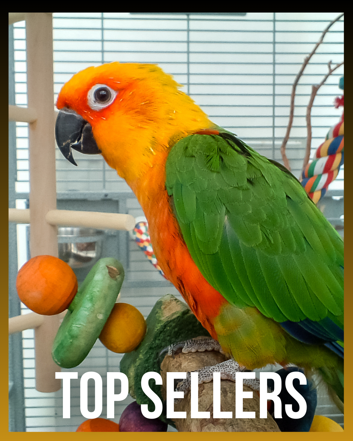 Bird Top Sellers