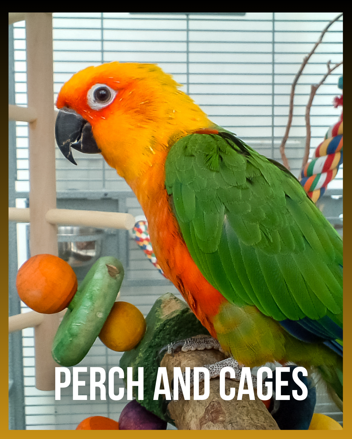 Bird Perch and Cage Accessories