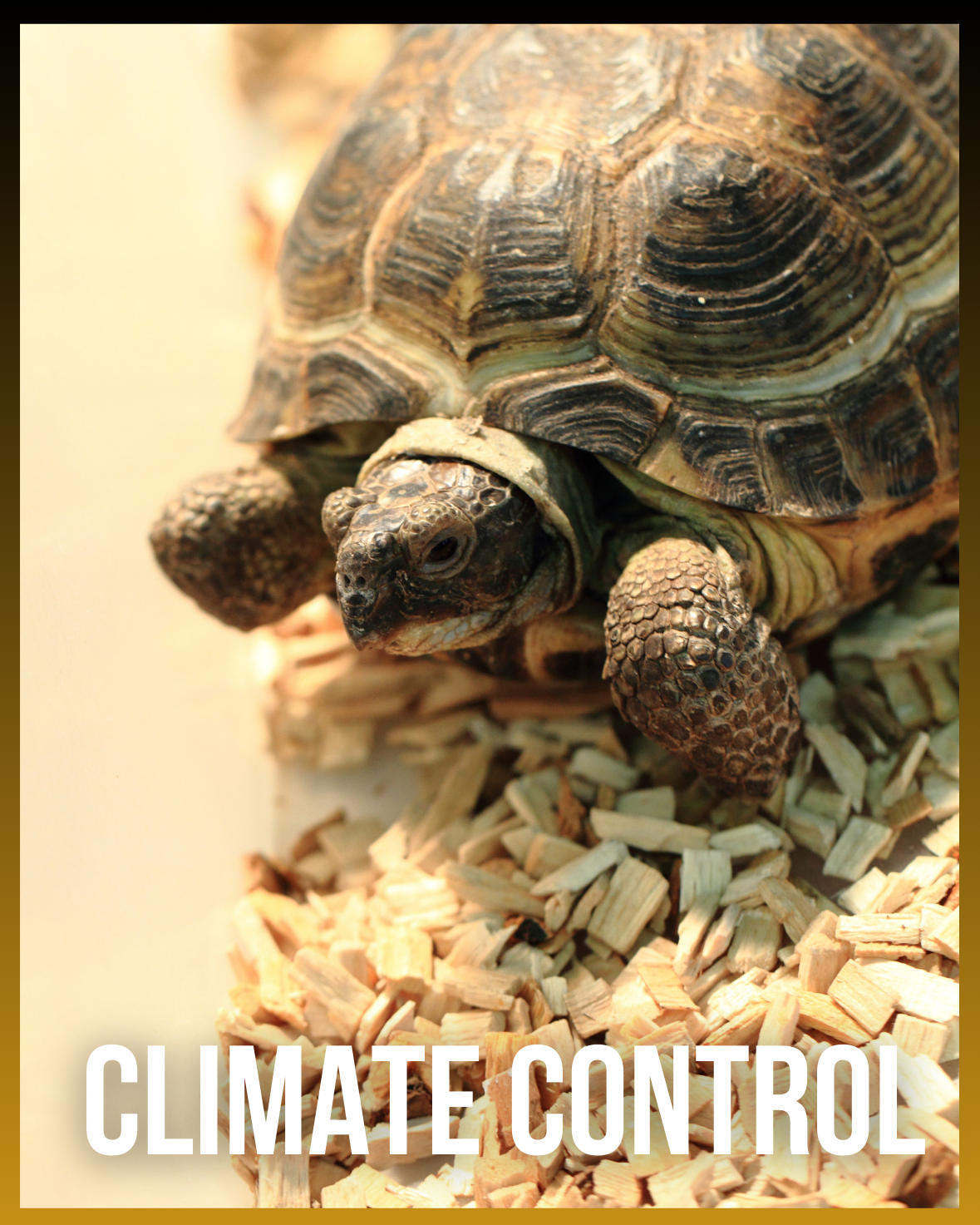 Reptile Climate Control