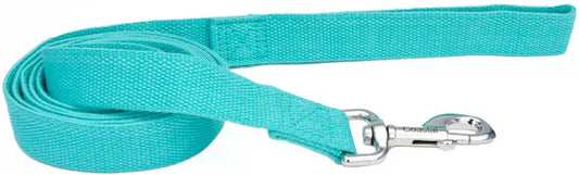 6 feet x 5/8"W Coastal Pet New Earth Soy Dog Lead Mint Green