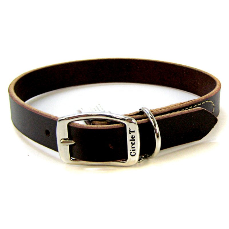 22"L x 1"W Circle T Latigo Town Dog Collar