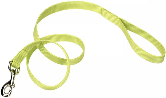 6 feet x 3/8"W Coastal Pet Single-Ply Nylon Dog Leash Lime Green