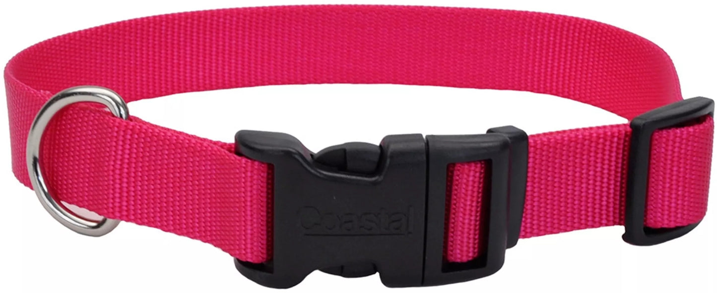 10-14"L x 5/8"W Coastal Pet Adjustable Dog Collar with Plastic Buckle Flamingo