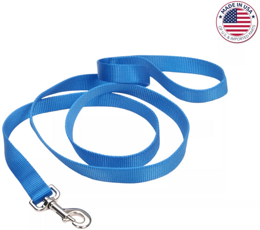 4 feet x 5/8"W Coastal Pet Single-Ply Nylon Dog Leash Blue Lagoon