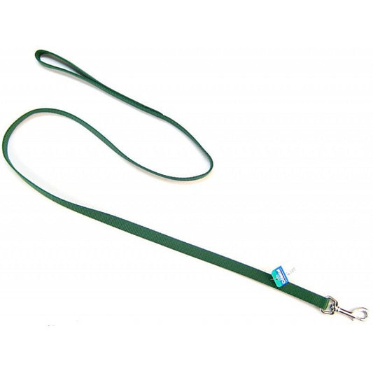 4 feet x 5/8"W Coastal Pet Single Nylon Lead Hunter Green