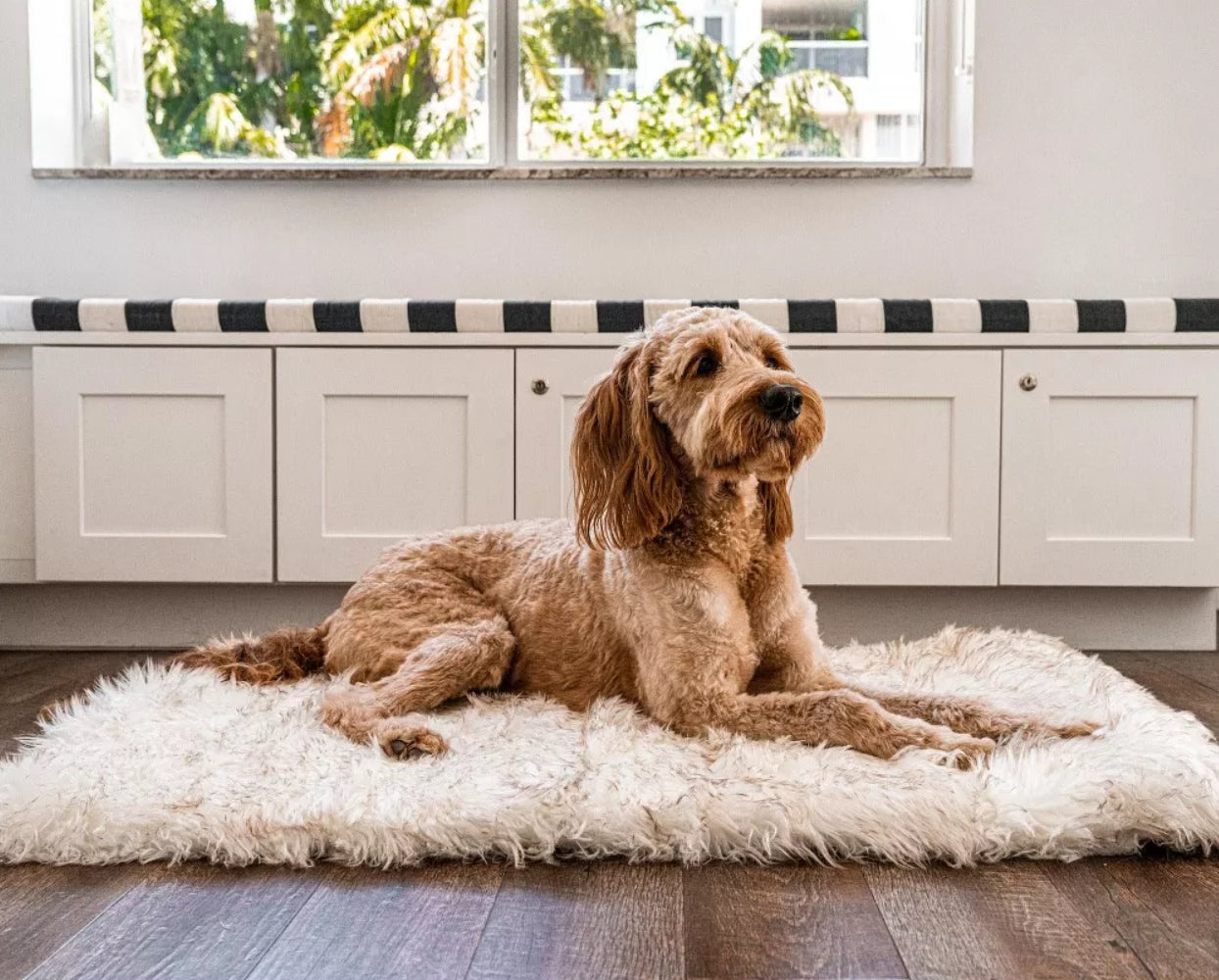 Large - 1 count Paw PupRug Portable Orthopedic Dog Bed White with Brown Accents