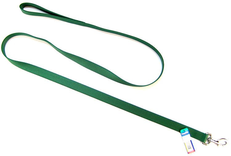 6 feet x 1"W Coastal Pet Single Nylon Lead Hunter Green