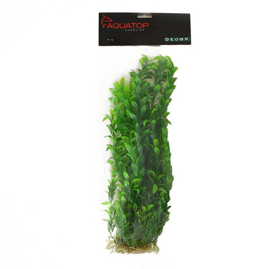 16" tall Aquatop Hygro Aquarium Plant Green