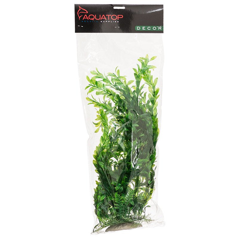 20" tall Aquatop Hygro Aquarium Plant Green