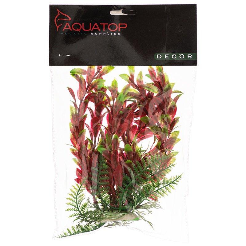 6" tall Aquatop Hygro Aquarium Plant Red and Green