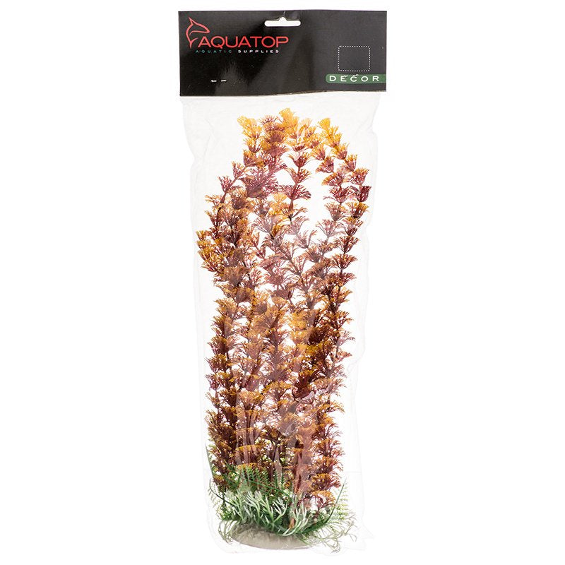 12" tall Aquatop Cabomba Aquarium Plant Fire