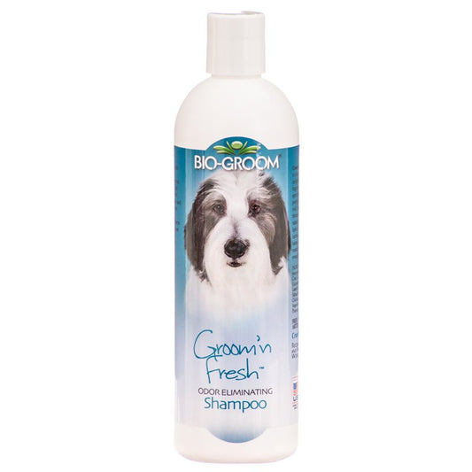 12 oz Bio Groom Groom n Fresh Shampoo