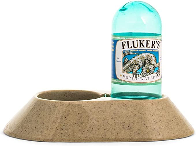 Small - 1 count Flukers Repta-Waterer Reptile Feeder