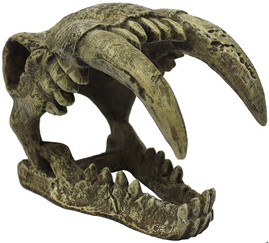 Large - 1 count Komodo Saber Tooth Skull Terrarium Decoration