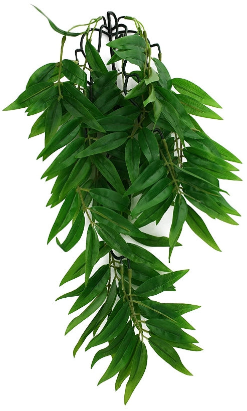 Small - 1 count Komodo Bamboo Hanging Vine Terrarium Plant