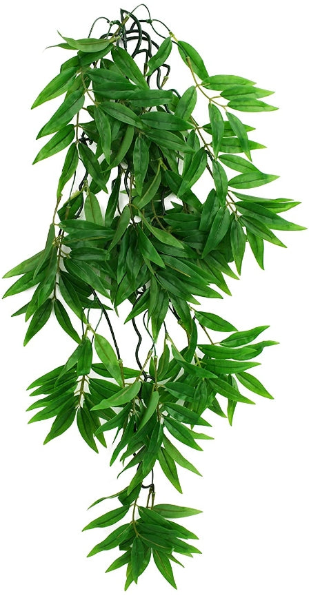 Large - 1 count Komodo Bamboo Hanging Vine Terrarium Plant