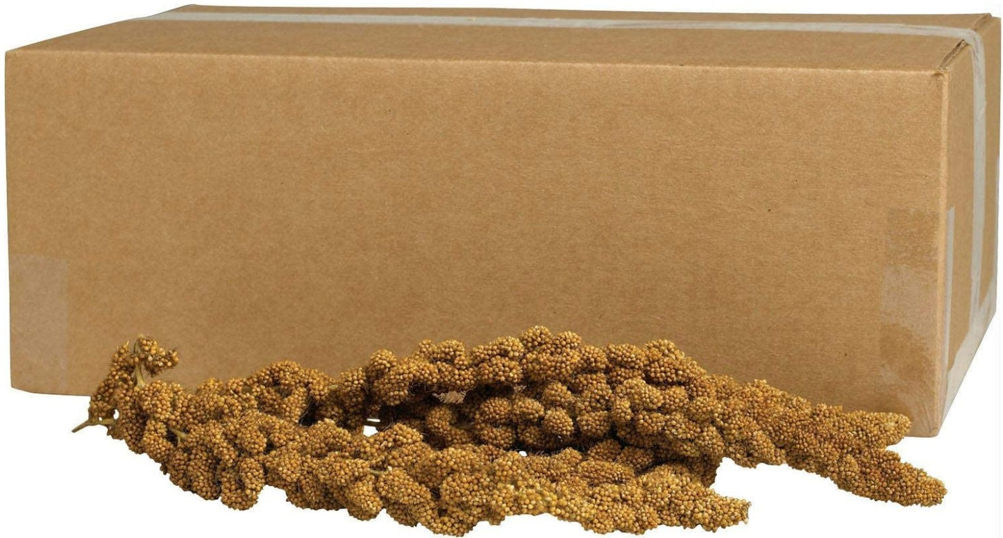 5 lb Kaytee Gold Spray Millet for Birds