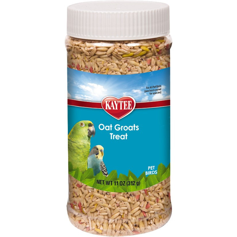 11 oz Kaytee Forti Diet Pro Health Oat Groats Treat for All Birds