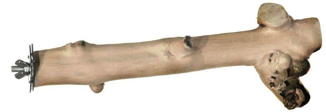 9" long - 1 count Prevue Pet Naturals Coffee Wood Straight Branch Perch