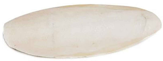 25 count Prevue Cuttlebone Birdie Basics Large 6" Long