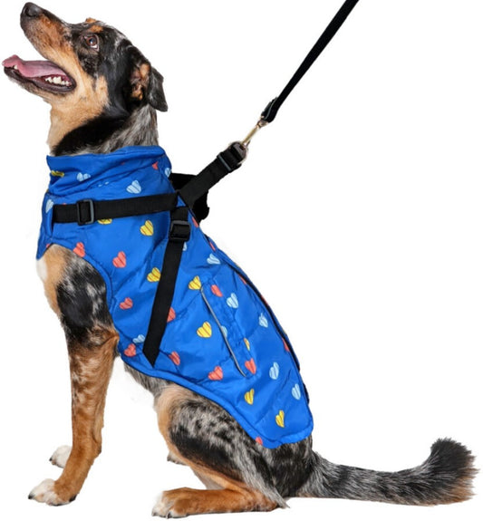 Medium - 1 count Fashion Pet Puffy Heart Harness Coat Blue