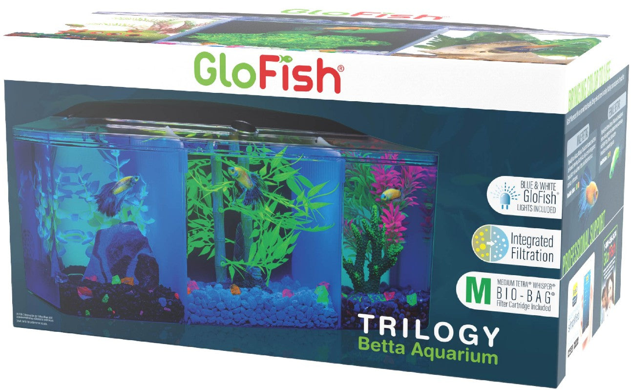 3 gallon GloFish Trilogy Beta Aquarium Kit with Hood and LED Light