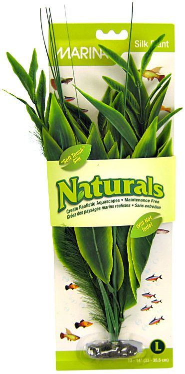 13-14" tall Marina Naturals Dracena Silk Plant