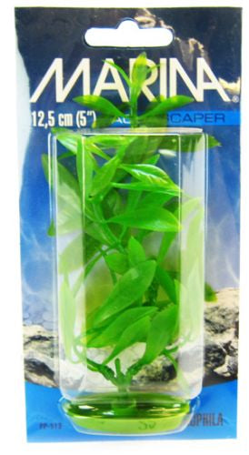 5" tall Marina Aquascaper Hygrophila Plant