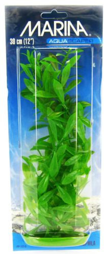 12" tall Marina Aquascaper Hygrophila Plant