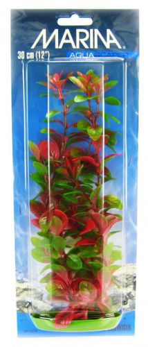 12" tall Marina Aquascaper Red Ludwigia Plant