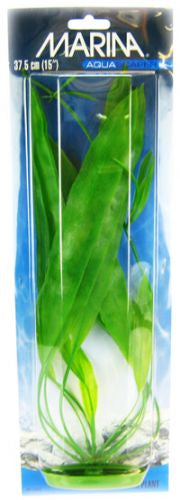 15" tall Marina Amazon Sword Plant for Aquariums