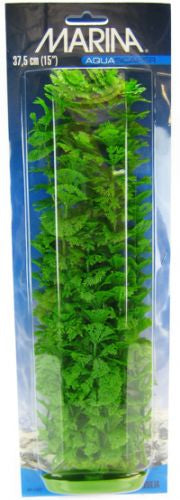 15" tall Marina Aquascaper Ambulia Plant