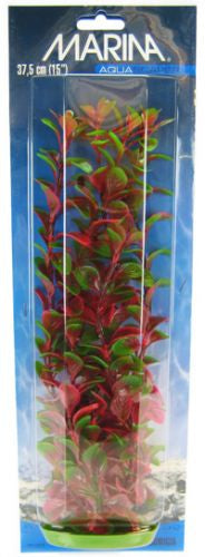 15" tall Marina Aquascaper Red Ludwigia Plant