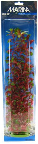 20" tall Marina Aquascaper Red Ludwigia Plant