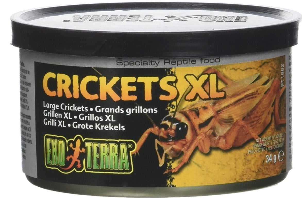 1.2 oz Exo Terra Canned Crickets XL Specialty Reptile Food