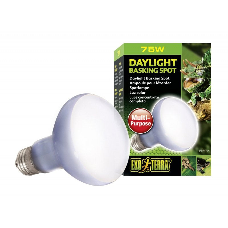 75 watt Exo Terra Daylight Basking Spot Lamp