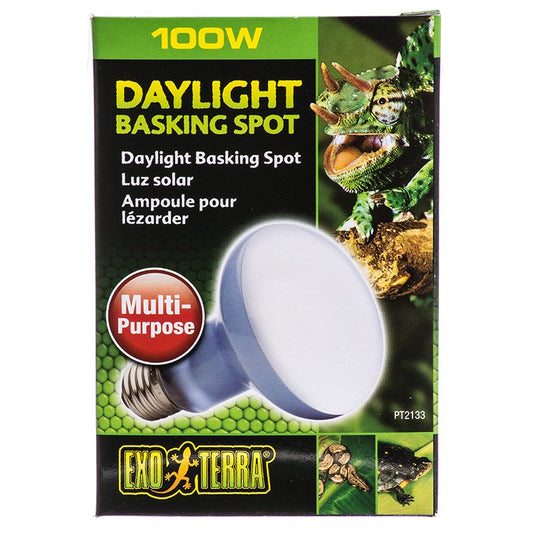 100 watt Exo Terra Daylight Basking Spot Lamp