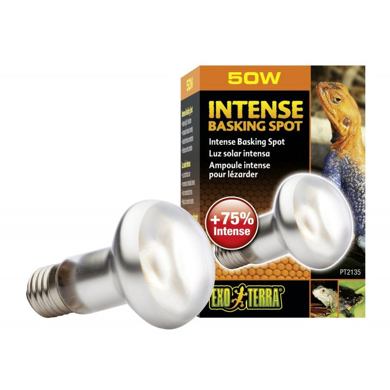 50 watt Exo Terra Intense Basking Spot Lamp