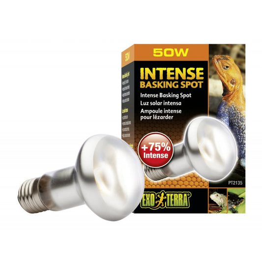 50 watt Exo Terra Intense Basking Spot Lamp