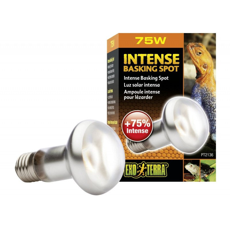 75 watt Exo Terra Intense Basking Spot Lamp