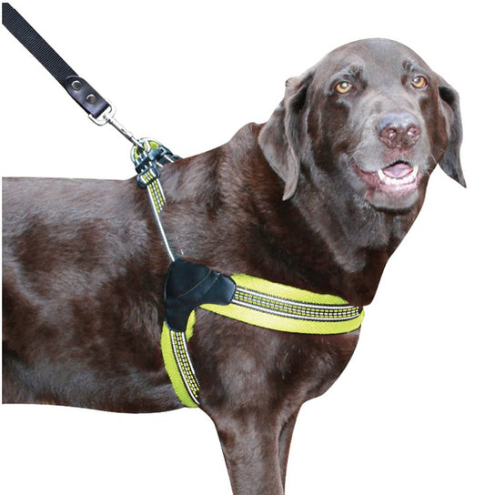 X-Large - 1 count Sporn Easy Fit Dog Harness Yellow