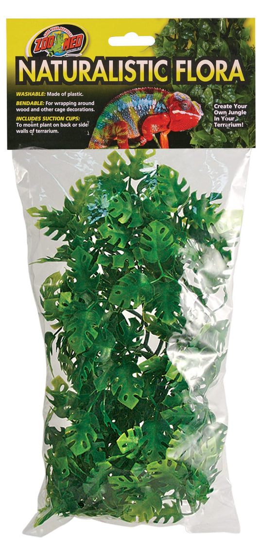 Medium - 1 count Zoo Med Naturalistic Flora Amazonian Phyllo Terrarium Plant