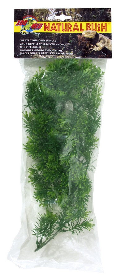 Medium - 1 count Zoo Med Naturalistic Flora Borneo Star Terrarium Plant