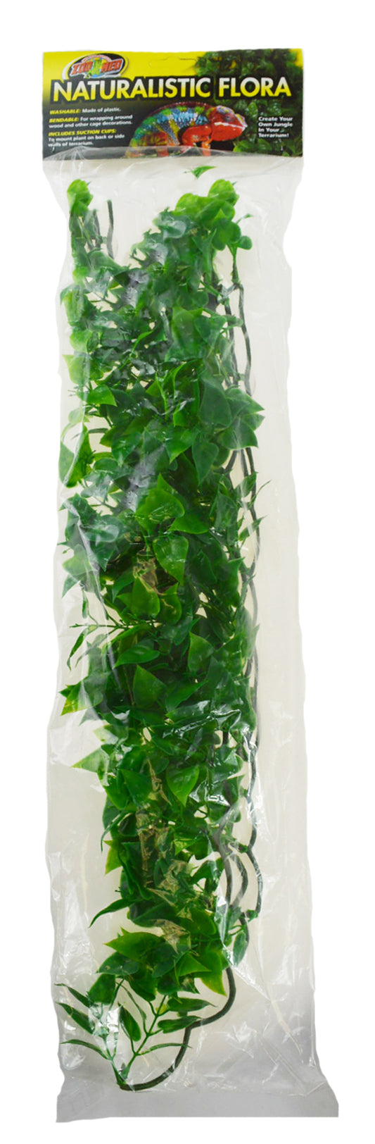 Large - 1 count Zoo Med Naturalistic Flora Mexican Phyllo Plant for Reptiles