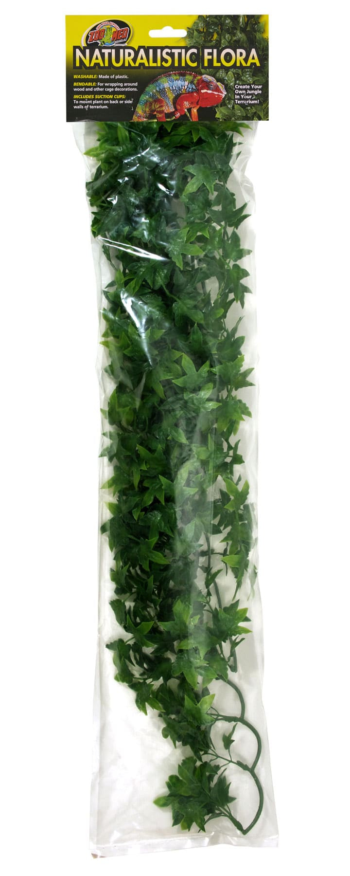 Large - 1 count Zoo Med Naturalistic Flora Bush Congo Ivy Terrarium Plant