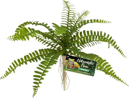 1 count Zoo Med Naturalistic Flora Sword Fern