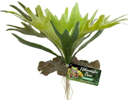 1 count Zoo Med Naturalistic Flora Staghorn Fern Terrarium Plant