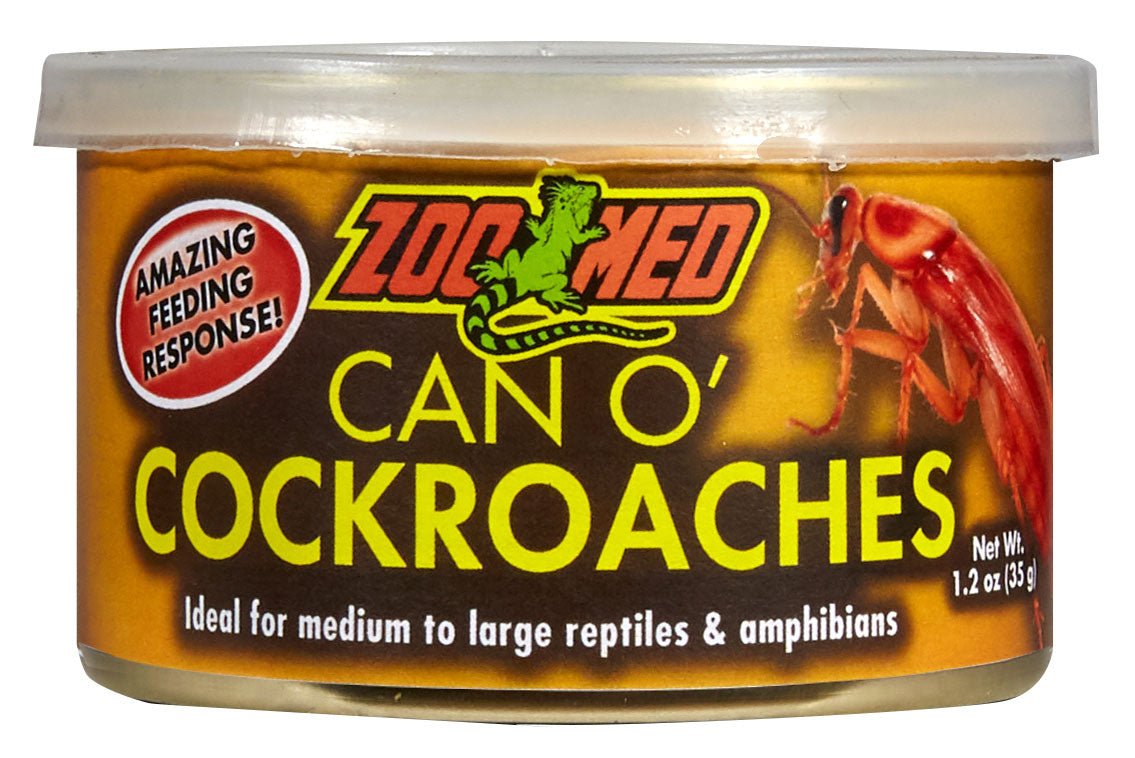 1 count Zoo Med Can O' Cockroaches for Reptiles and Amphibians